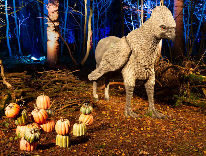 Best Time to Go to Harry Potter World: When to Visit for the Ultimate Experience Best Time to Go to Harry Potter World: When to Visit for the Ultimate Experience